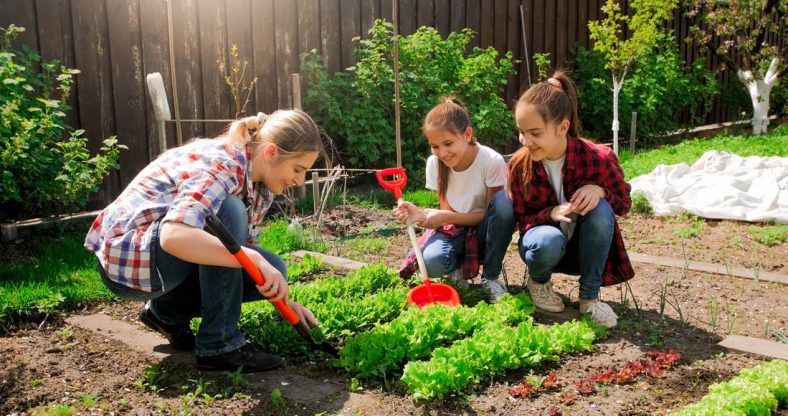 Le Jardinage : tous les bienfaits du jardin sur la santé - IRCEM