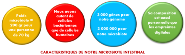 microbiote intestinal