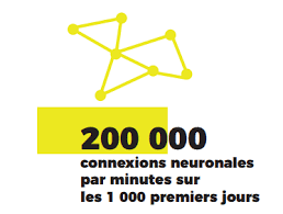 200 connexions neurolas par minutes sur les 1 000 premiers jours