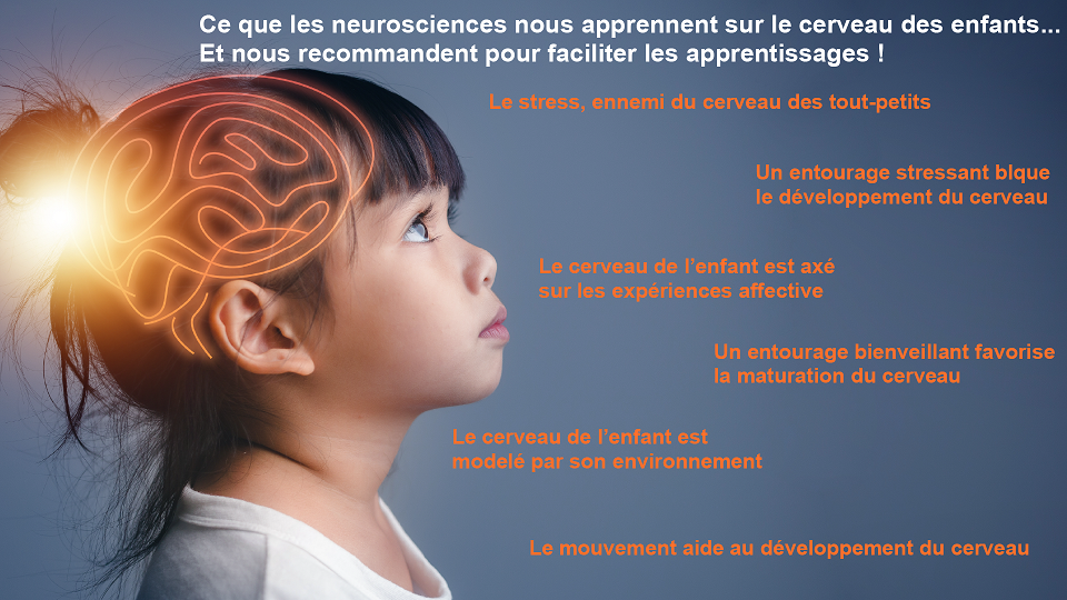 Cerveau enfant apprentissage